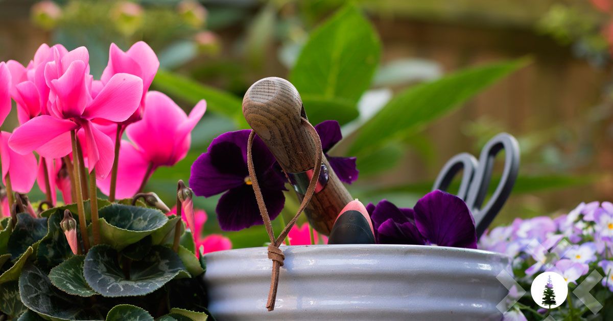 industria de la floricultura