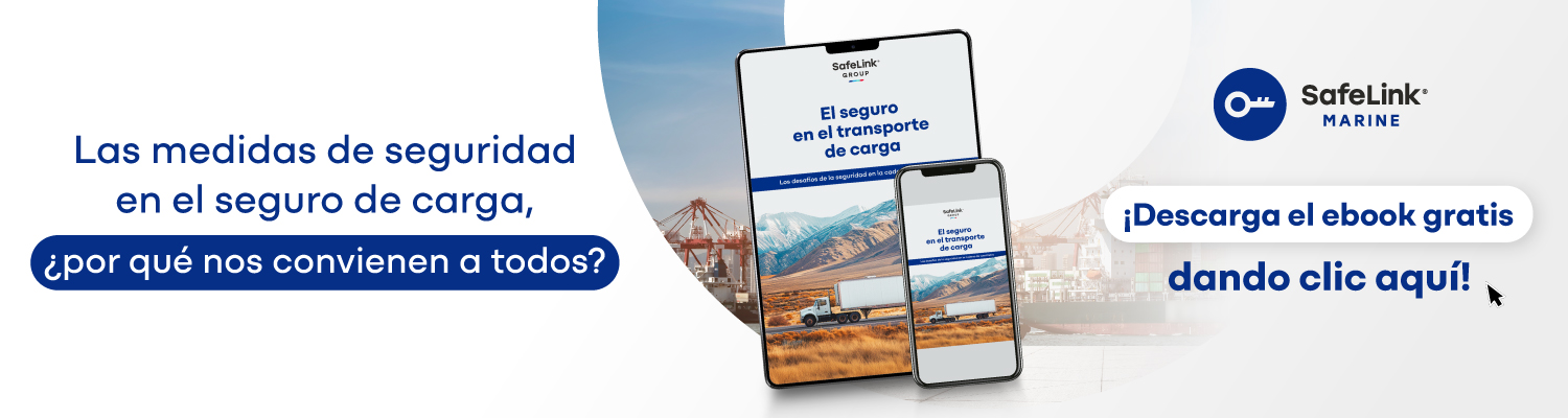 seguro de carga