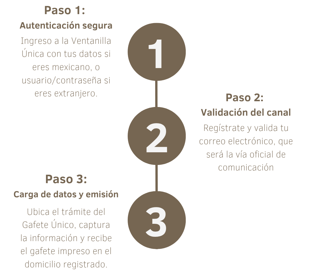 paso a paso de cómo obtener el gafete único
