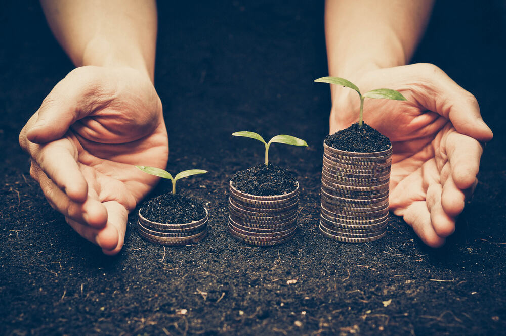 sostenibilidad económica